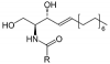 Photo for Ceramide Market | World Players Forecast Analysis Till 2025