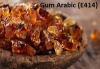 Photo for Gum Arabic (E414) Market | World Players Forecast Analysis Till 2025