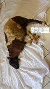 Photo for Powerful lost lovers spells and marriage fixing spell +27735530287