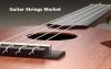 Photo for Guitar Strings Market Size, Share, Growth, Strategies, Trends, Analysis And Forecast To 2026
