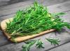 Photo for Rosemary Extract Market | World Players Forecast Analysis Till 2025