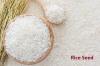 Photo for Rice Seeds Market Size Worth $11.2 Billion By 2025