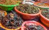 Photo for Global Edible Insects Market Research Report - Industry Analysis, Size, Share, Growth, Trends and Forecast Till 2026