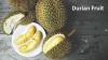 Photo for Durian Fruit Market Size Worth $28.6 Billion By 2025