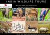 Photo for India Wildlife Tours