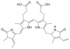 Photo for Phycoerythrin Market | World Players Forecast Analysis Till 2025