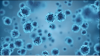 Photo for What is the impact of Coronavirus on  primary cells market Growth?