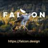 Photo for FALCON Design