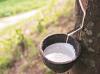 Photo for Natural Rubber Market | World Players Forecast Analysis Till 2025