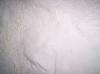 Photo for Global PP Powder Market 2020 | Manufacturers, Regions, Type And Application, Forecast To 2025
