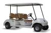 Photo for Global Golf Cart Market 2020 | Manufacturers Regions Type And Application Forecast To 2025