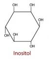 Photo for Inositol Market | World Players Forecast Analysis Till 2025