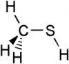 Photo for Methyl Mercaptan Market | World Players Forecast Analysis Till 2025