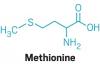Photo for Methionine Market | World Players Forecast Analysis Till 2025