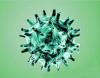 Photo for Coronavirus Antigens
