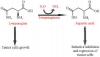 Photo for Global Asparaginase Market 2020 | Manufacturers Regions Type And Application Forecast To 2025