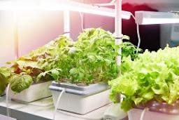Photo for Hydroponic Equipment Market | World Players Forecast Analysis Till 2025