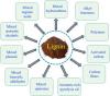 Photo for Global Lignin Products Market 2020 | Manufacturers Regions Type And Application Forecast To 2025