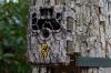 Photo for Global Trail Cameras Market 2020 | Manufacturers Regions Type And Application Forecast To 2025