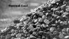 Photo for Thermal Coal Market Growth Analysis, Share, Demand By Regions, Types And Forecast To 2026