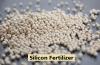 Photo for Silicon Fertilizer Market 2020, Growth, Increasing Demand, End User, Regional Trends & Forecast To 2026