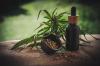 Photo for CBD Oil Market Segmentation Along With Regional Outlook, Competitive Strategies, Factors Contributing To Growth 2030