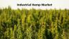 Photo for Industrial Hemp Market : Future Demand, Market Analysis & Outlook To 2027