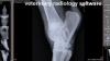 Photo for Veterinary radiology software Market | World Players Forecast Analysis Till 2025