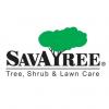Photo for Arbor Experts / SavATree - Tree Service & Lawn Care