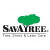 Photo for Downey Trees, Inc - SavATree