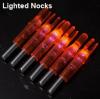 Photo for Lighted Nocks Market | World Players Forecast Analysis Till 2025