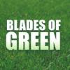 Photo for Blades of Green
