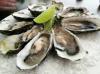Photo for Global Calcium Carbonate from Oyster Shell Market 2020 | Manufacturers Regions Type And Application Forecast To 2025