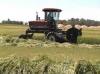 Photo for Swather Market | World Players Forecast Analysis Till 2025
