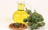 Photo for Global Castor Oil Market 2020 | Manufacturers Regions Type And Application Forecast To 2025