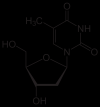 Photo for Global Thymidine Market 2020 | Manufacturers, Regions, Type And Application, Forecast To 2025