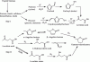 Photo for Global Gamma Valerolactone Market 2020 | Manufacturers Regions Type And Application Forecast To 2025