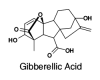 Photo for Gibberellin Acid (GA) Market | World Players Forecast Analysis Till 2025