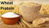 Photo for Hydrolyzed Wheat Protein Market Size Worth $233.08 Million By 2025