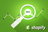 Photo for Your Online Store May Need a Shopify SEO Expert