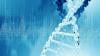 Photo for Genotyping Assay Market to reflect impressive growth in Biotechnology Industry