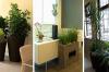 Photo for How to Create a Beautiful Office Plant Design