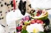Photo for Pet Food Market 2020- 2024 Upcoming Trends, Analysis, forecast