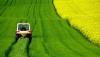 Photo for How Biofertilizer Market Booming Worldwide