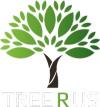 Photo for Trees R Us