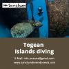 Photo for Togean Island Diving
