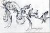 Photo for Women's Art Exhibition