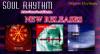 Photo for Soul Rhythm: The Organic Electronic Jazz & Ambient Band