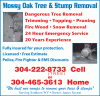 Photo for MOSSY OAK TREE & STUMP REMOVAL