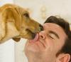 Photo for South Pointe Animal Hospital